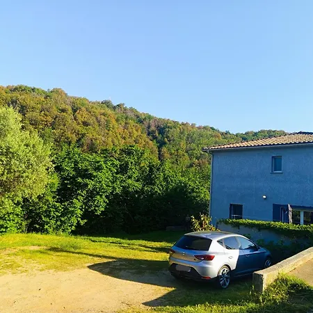 T3 Rez De Jardin Dans * Vescovato